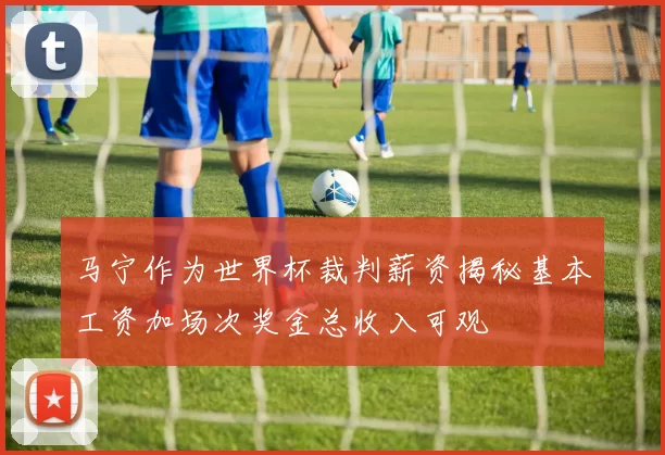 马宁作为世界杯裁判薪资揭秘基本工资加场次奖金总收入可观