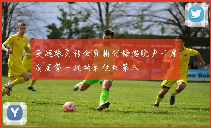 英超球员转会费排行榜揭晓卢卡库高居第一托纳利位列第八